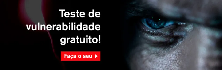 teste-de-vulnerabilidade-seguranca-gratuito-2.jpg