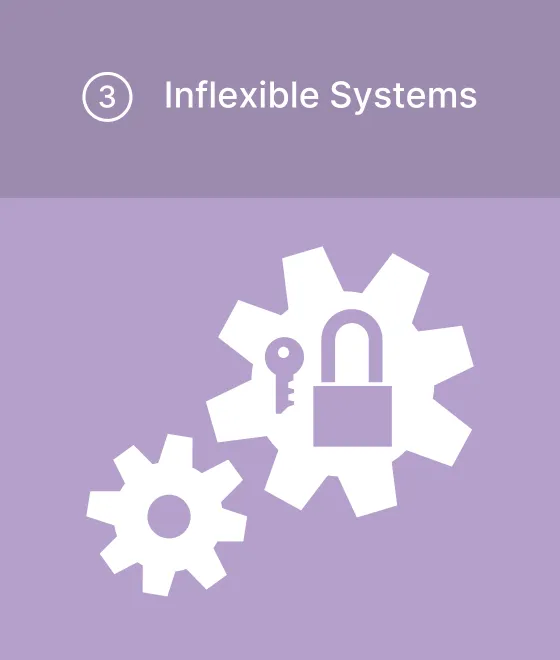 Inflexible Systems