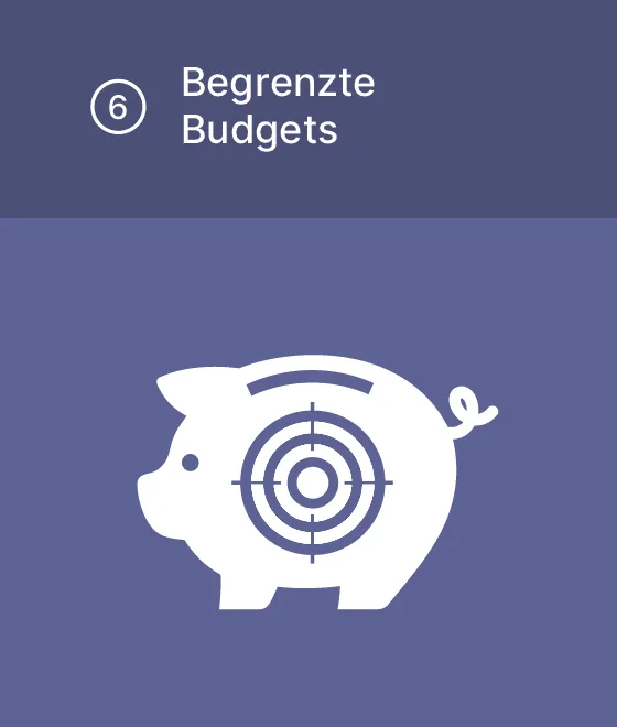 Piktogramm "Begrenzte Budgets": Sparschwein mit Fadenkreuz