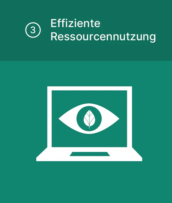 Piktogramm Effiziente Ressourcennutzung: Laptop zeigt ein Auge mit Eco Leave statt Pupille