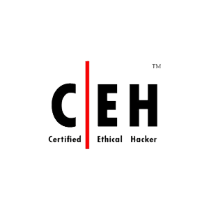 Cyber Security Zertifizierung: CEH