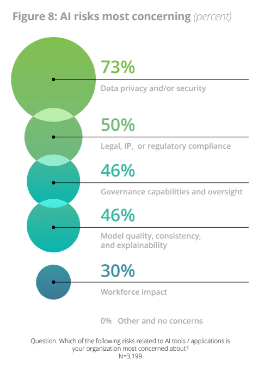 Deloitte - concerning risks