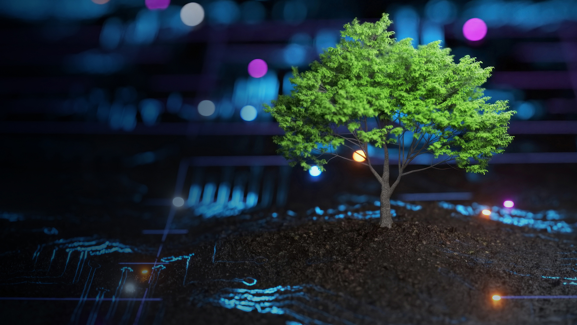 From a Brown Field to One in Bloom: Revitalizing AngularJS with React