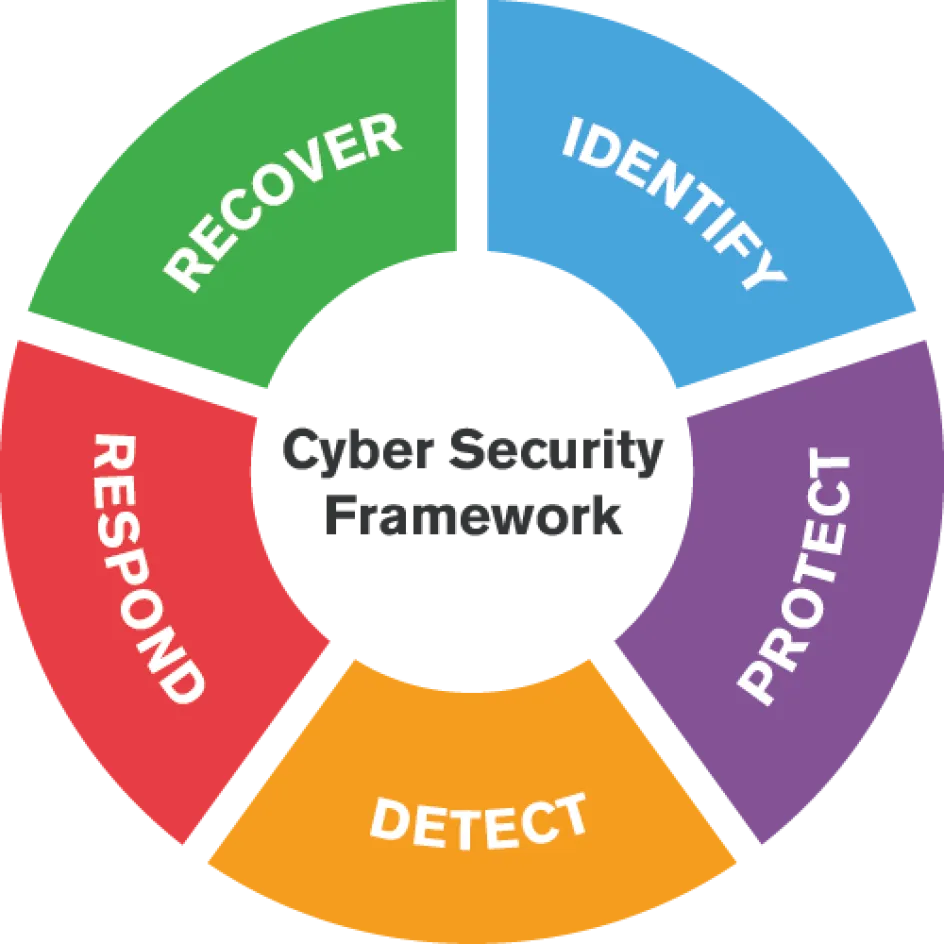 csf-image-web.png